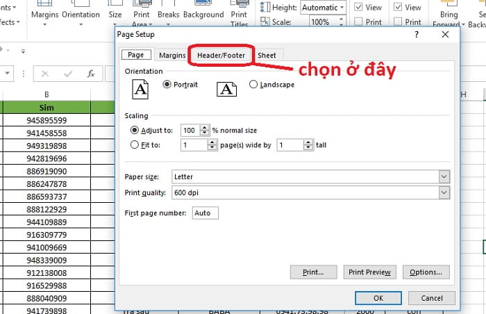 Hướng dẫn bỏ đánh số trang trong Excel1